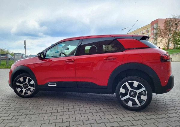 Citroen C4 Cactus cena 41900 przebieg: 200000, rok produkcji 2019 z Gliwice małe 254